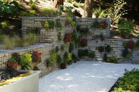 gabion s rostlinami